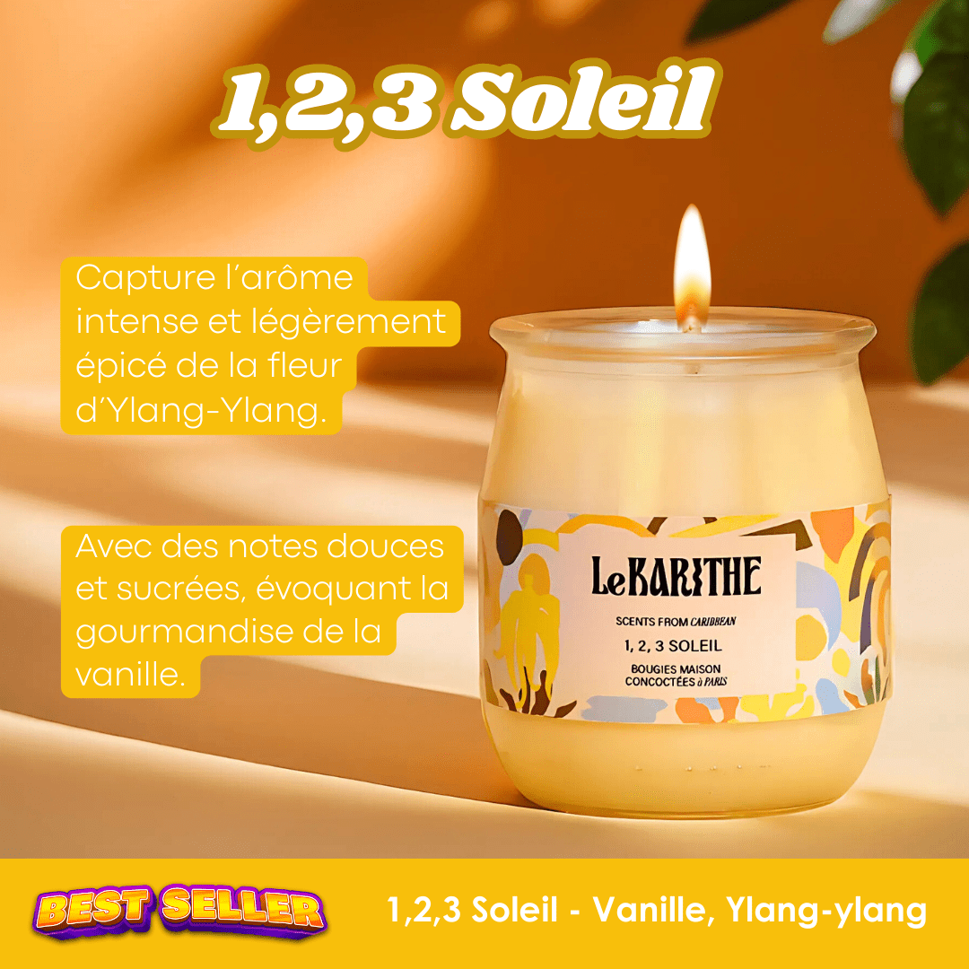 Candela vegetale * candele invernali